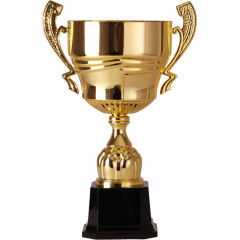 Кубок 2006B (53 см) D-240