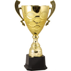 Кубок 2010B (54 см) D-220